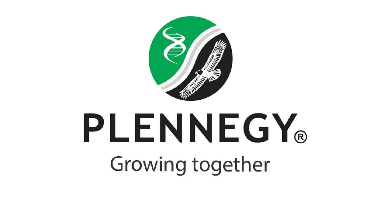 Plennegy: Internships 2024 / 2025