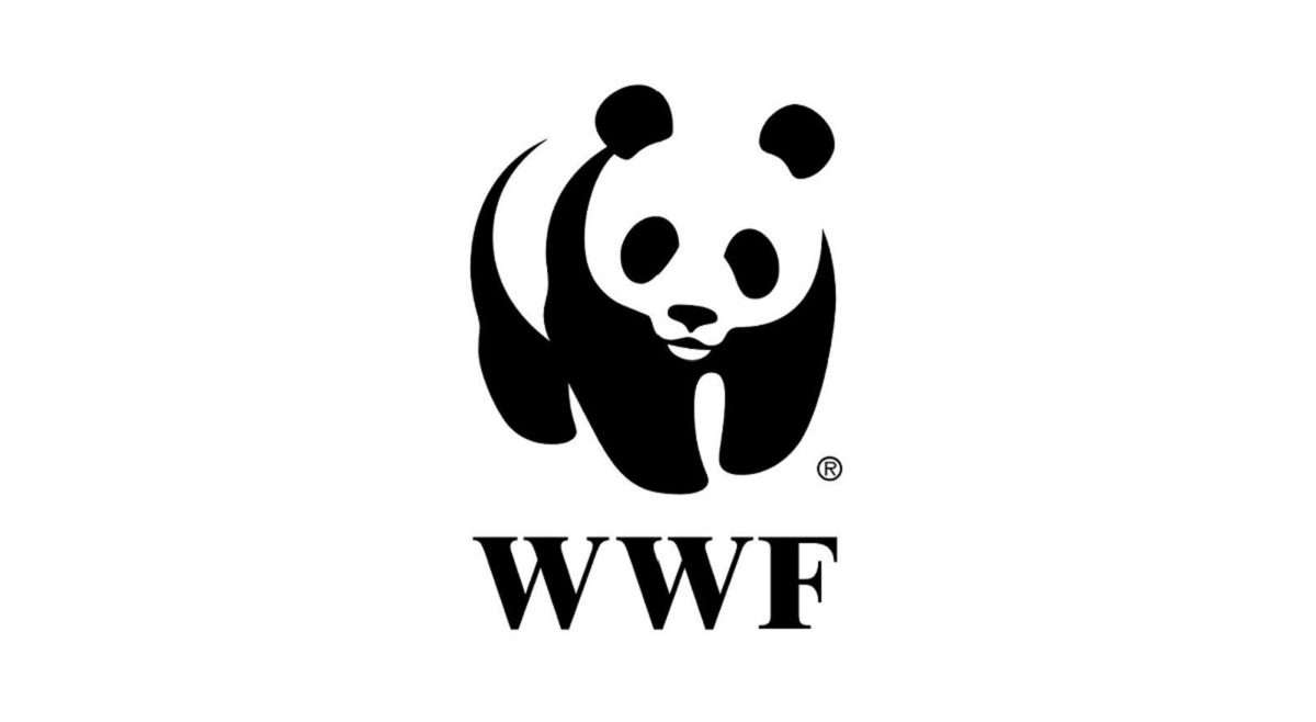 WWF South Africa: Graduate Internships 2024 / 2025