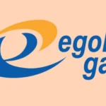 Egoli Gas: Supply Chain & Logistics Internships