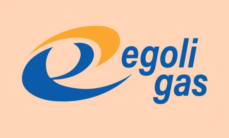 Egoli Gas: Supply Chain & Logistics Internships