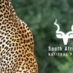 South African National Parks (SANParks) AFD Internships 2024 / 2025