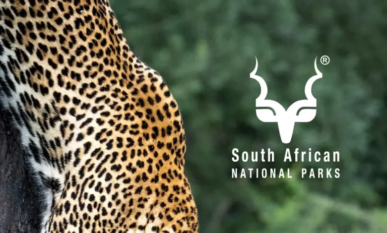 South African National Parks (SANParks) AFD Internships 2024 / 2025