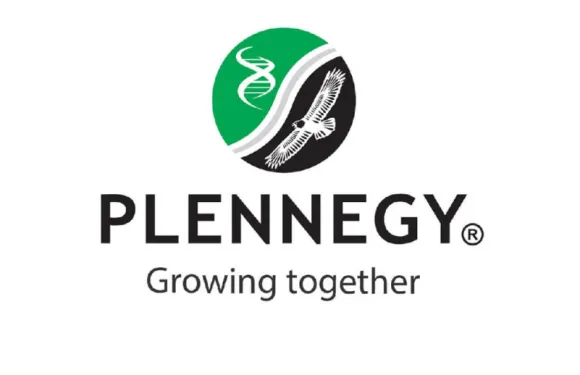 Plennegy: Internal Audit Internships (Accounting, Finance, Auditing Graduates)