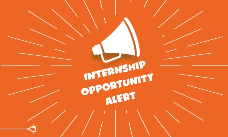 7 Must-Apply Government Internships in South Africa for 2025: Apply Before 03 February!