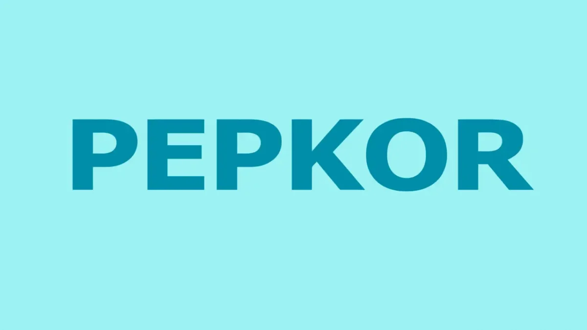 pepkor 1 e1748853334170