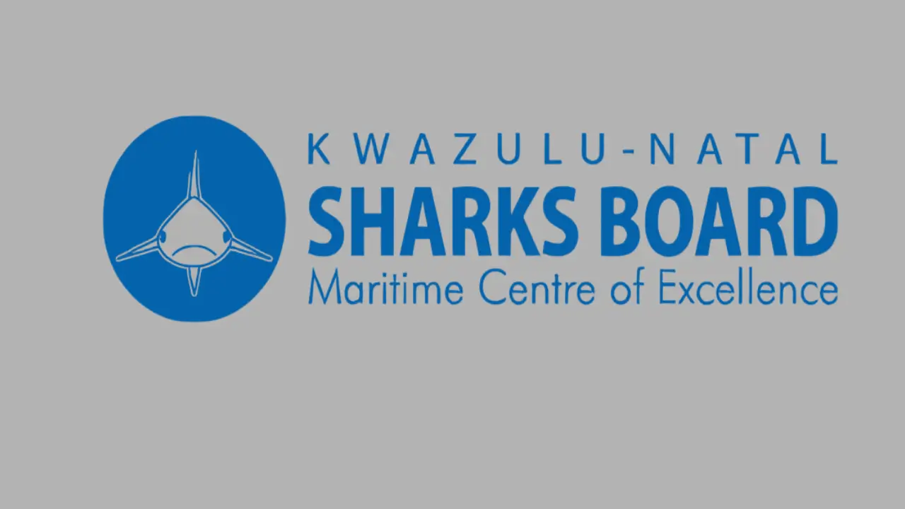 KZN Sharks Board 1
