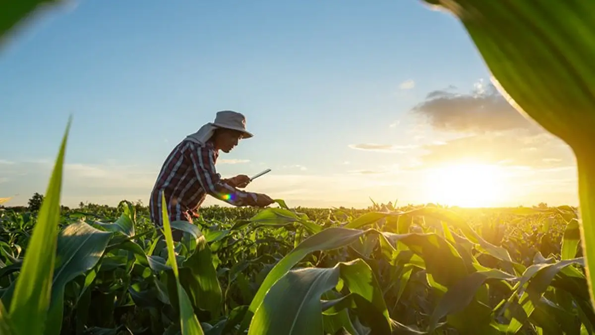 TWK Agri Graduate Traineeships 2026