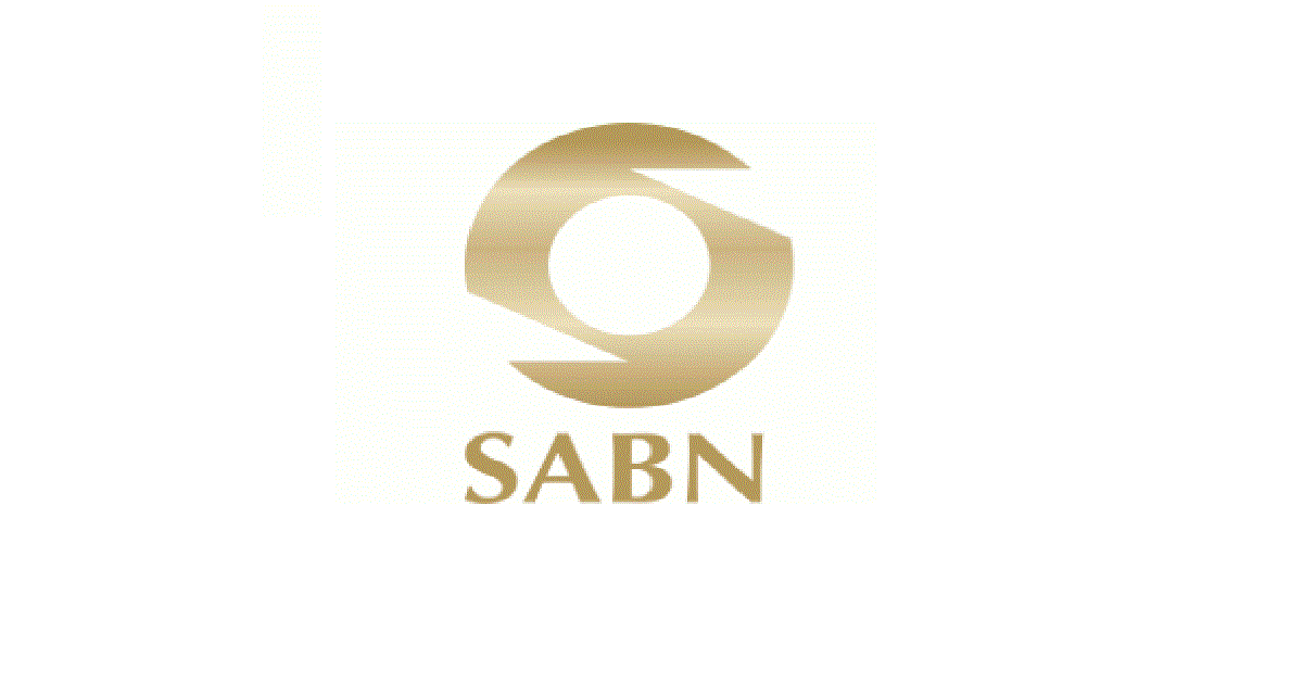 South African Bank Note Company (SABN) Project Support Internship